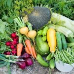 Как вырастить вкусные, здоровые и урожайные овощи на своем огороде – секреты экспертов